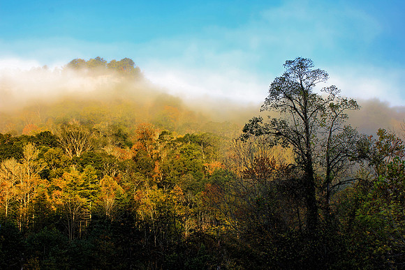 Red River Gorge 2685