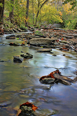 Autumn 023