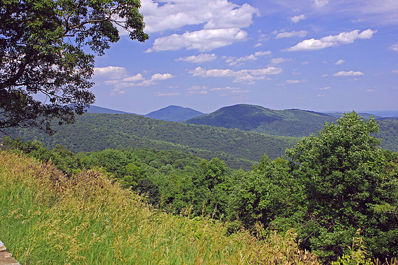 Shenandoah National Park 029