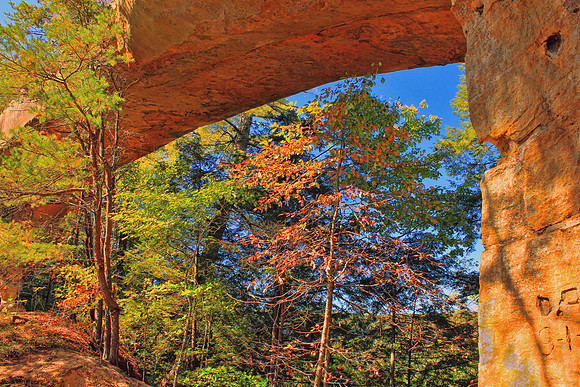 Red River Gorge 2518