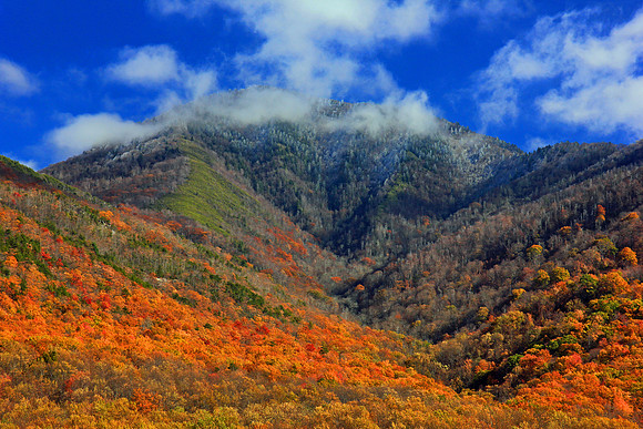 Smoky Mountain National Park 7672