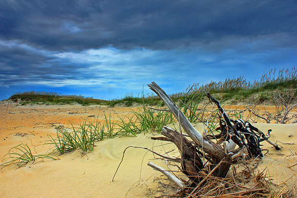 Outer Banks 1951