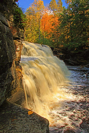 Michigan UP Fall 6500