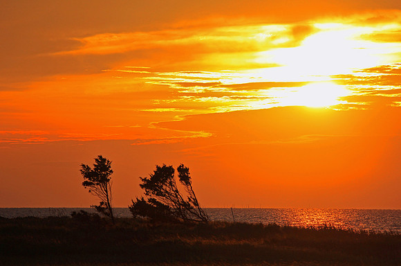 Outer Banks 2111
