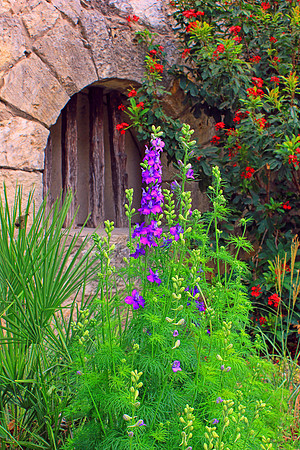 Texas Wildflowers and Missions 1283
