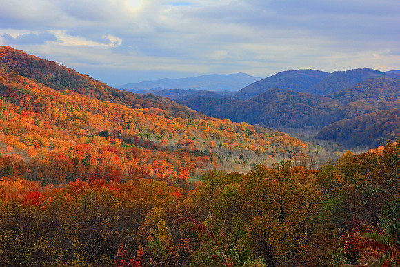 Smoky Mountain National Park 7623