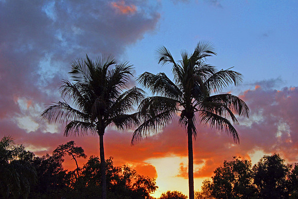 Florida Sunset 3823