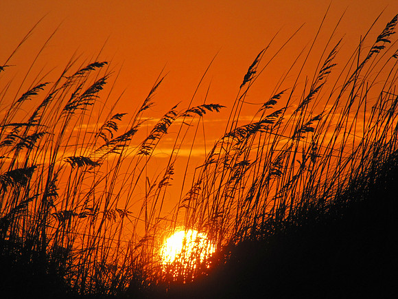 OBX 90